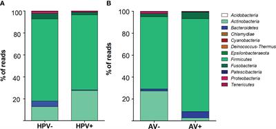 Microbiome analysis of Brazilian women cervix reveals specific bacterial abundance correlation to RIG-like receptor gene expression